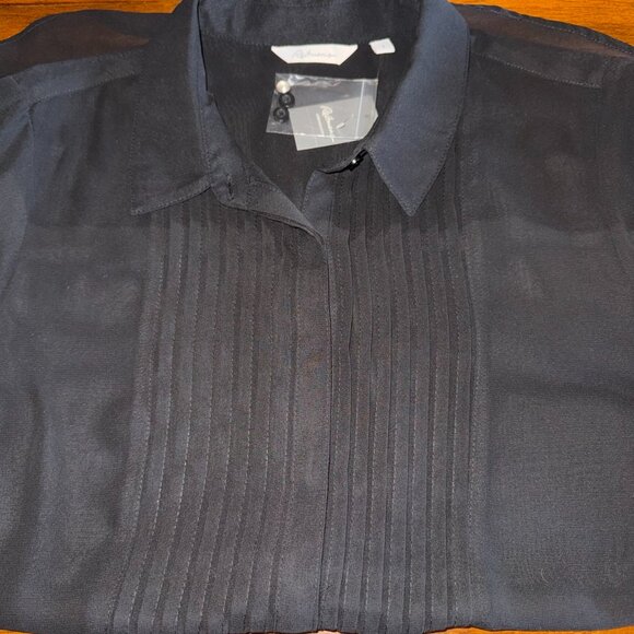 Reitmans sheer black blouse with front pleats and long sleeves, maybe go… - Picture 3 of 11